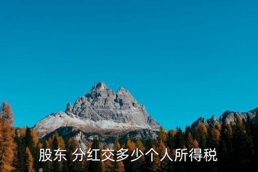 股東 分紅交多少個人所得稅