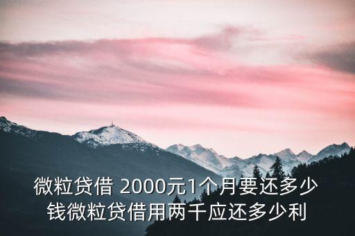 我想貸款2000利息是多少,貸款1萬一年利息2000元高嗎
