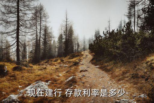 中國建設(shè)銀行一年存款上浮多少錢