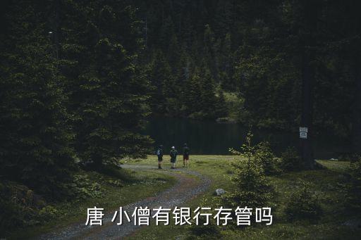唐 小僧有銀行存管嗎