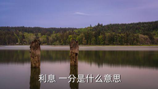  利息 一分是什么意思