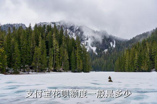 花唄800借唄是多少,花唄多少歲可以借