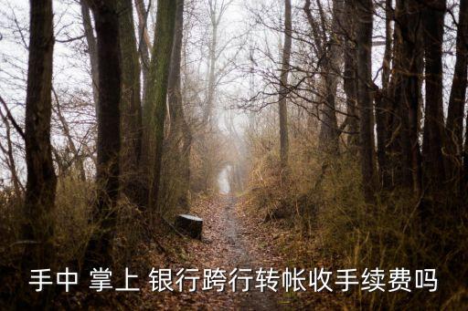 手中 掌上 銀行跨行轉(zhuǎn)帳收手續(xù)費(fèi)嗎