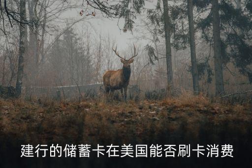 建行銀聯(lián)境外手續(xù)費(fèi)是多少,銀聯(lián)境外取現(xiàn)手續(xù)費(fèi)一覽表