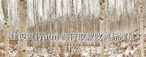 建設(shè)銀行atm 跨行取款收費(fèi)標(biāo)準(zhǔn)是什么