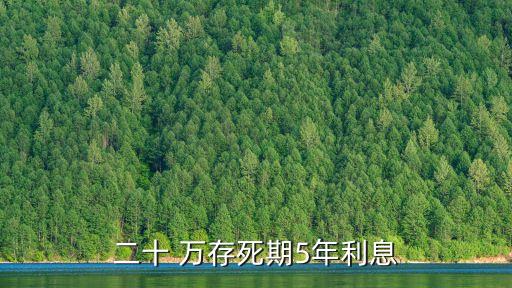 二十 萬(wàn)存死期5年利息