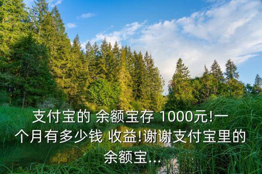 存1000余額寶收益多少,支付寶余額寶1000元一天收益多少