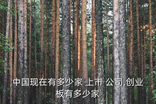 中國現(xiàn)在有多少家 上市 公司,創(chuàng)業(yè)板有多少家