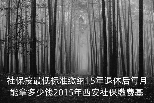 社保按最低標(biāo)準(zhǔn)繳納15年退休后每月能拿多少錢2015年西安社保繳費(fèi)基
