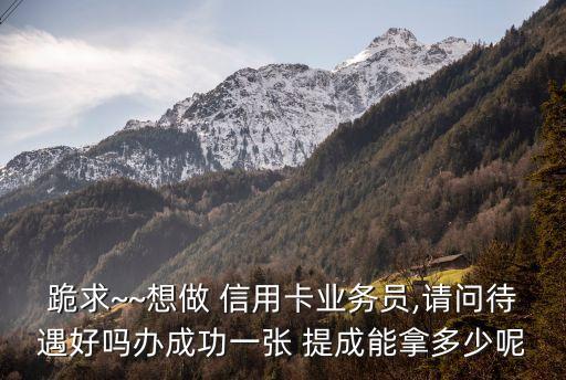 跪求~~想做 信用卡業(yè)務員,請問待遇好嗎辦成功一張 提成能拿多少呢