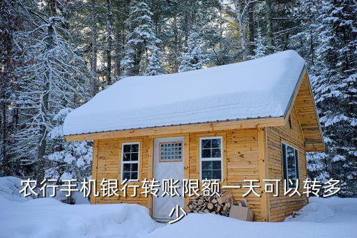 農(nóng)行最低額度是多少,農(nóng)行漂亮媽媽白金卡最低額度