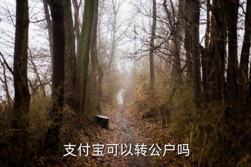  支付寶可以轉(zhuǎn)公戶嗎