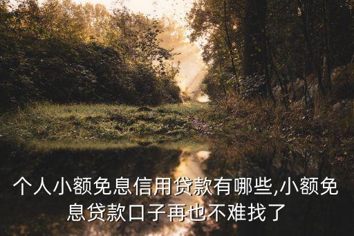 星星錢袋 額度多少錢