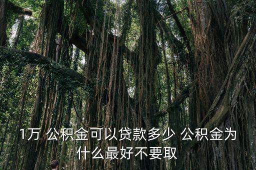 1萬 公積金可以貸款多少 公積金為什么最好不要取