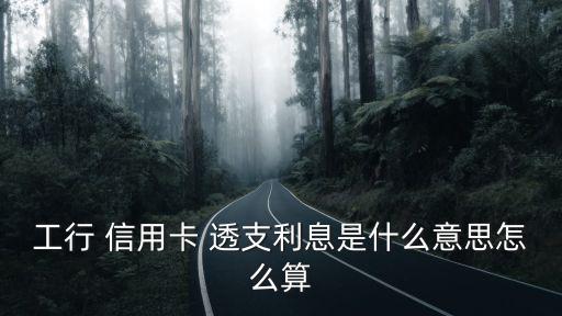 工行 信用卡 透支利息是什么意思怎么算