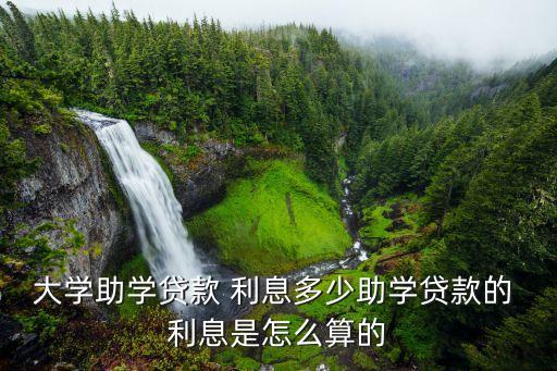 校園貸5000利息給多少錢,網(wǎng)貸5000兩年利息應(yīng)該多少