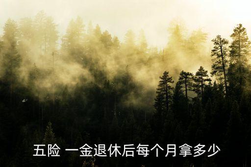 五險一金將來能領(lǐng)多少