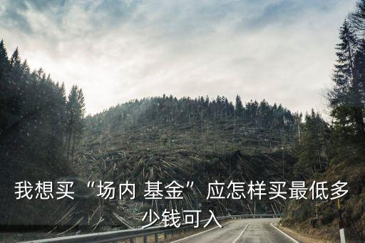 我想買“場(chǎng)內(nèi) 基金”應(yīng)怎樣買最低多少錢(qián)可入