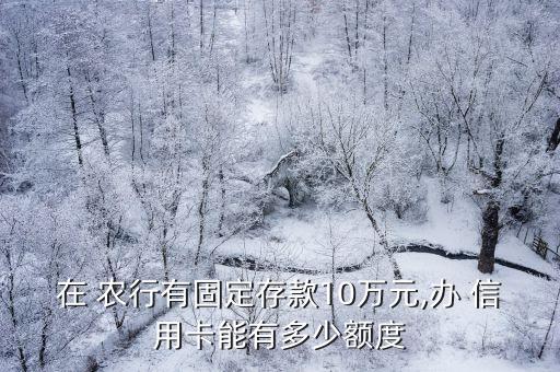 在 農(nóng)行有固定存款10萬元,辦 信用卡能有多少額度