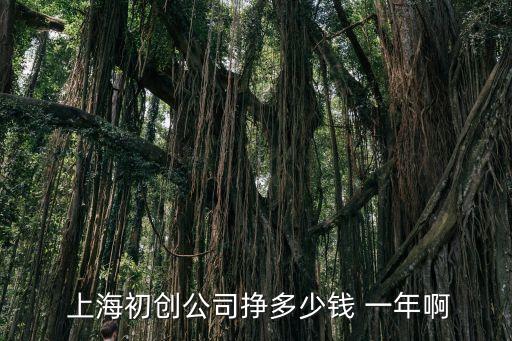 在上海一年能掙多少,上海的小學(xué)老師一年能掙多少