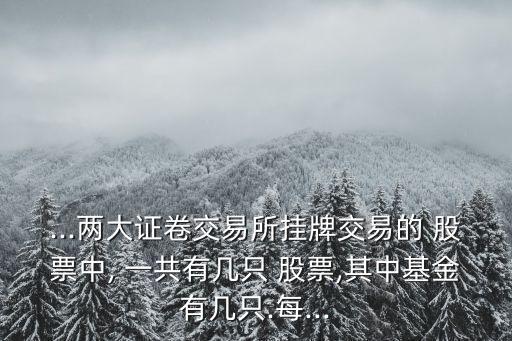 b股一共有多少只股票,B股一共有多少只股票
