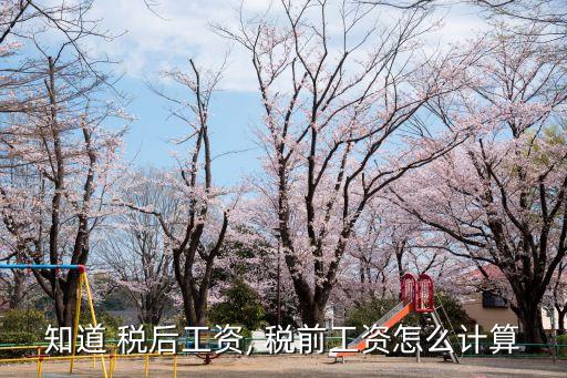 知道 稅后工資, 稅前工資怎么計算