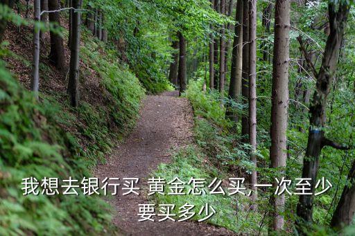 我想去銀行買 黃金怎么買,一次至少要買多少