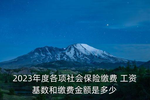 2023年度各項社會保險繳費(fèi) 工資基數(shù)和繳費(fèi)金額是多少