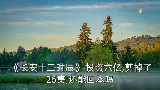 瑯琊榜投資成本多少錢