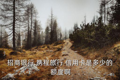 招商銀行 攜程旅行 信用卡是多少的 額度啊
