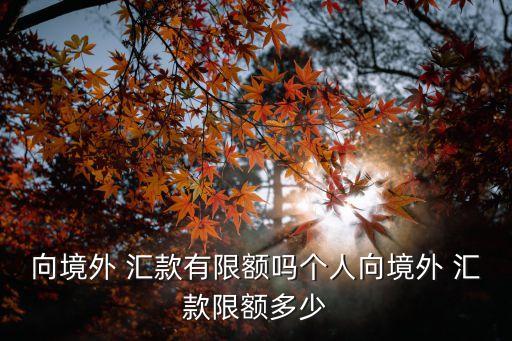國際匯款最低多少錢,熊貓國際匯款匯錢