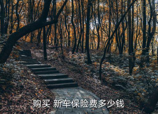 購(gòu)買 新車保險(xiǎn)費(fèi)多少錢