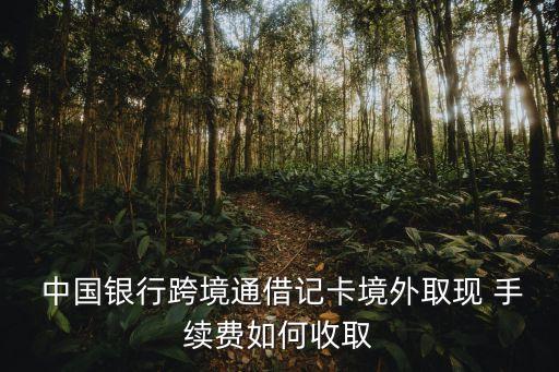 中國(guó)銀行國(guó)外提現(xiàn)手續(xù)費(fèi)多少錢