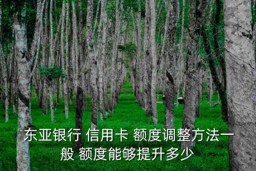  東亞銀行 信用卡 額度調(diào)整方法一般 額度能夠提升多少