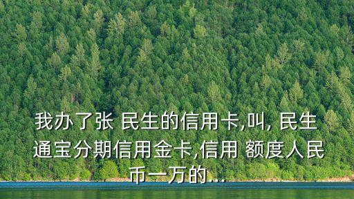 民生通寶卡額度一般多少錢