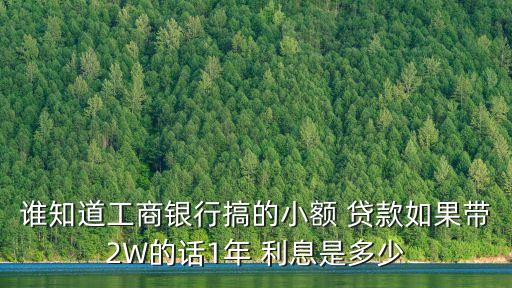 誰知道工商銀行搞的小額 貸款如果帶2W的話1年 利息是多少