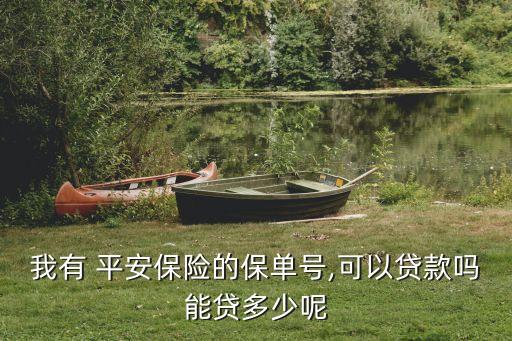 我有 平安保險的保單號,可以貸款嗎能貸多少呢