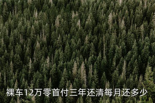 汽車貸款12萬月供多少