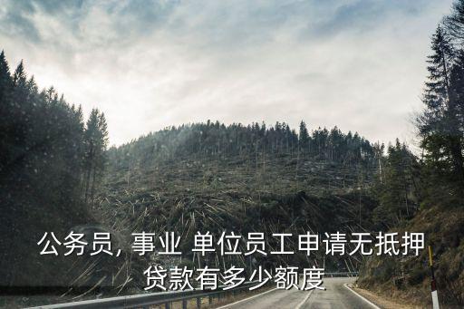 公務(wù)員, 事業(yè) 單位員工申請無抵押 貸款有多少額度