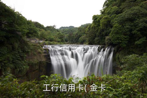 工行白金卡額度是多少,工行星座簡約白金卡額度