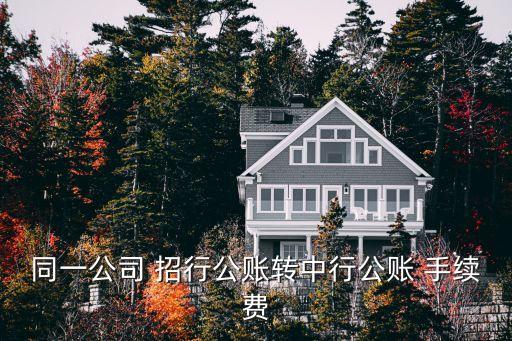 中國銀行轉(zhuǎn)招行手續(xù)費多少錢,招行轉(zhuǎn)款手續(xù)費多少