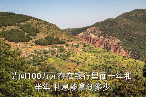 請問100萬元存在銀行里面一年和 半年 利息能拿到多少