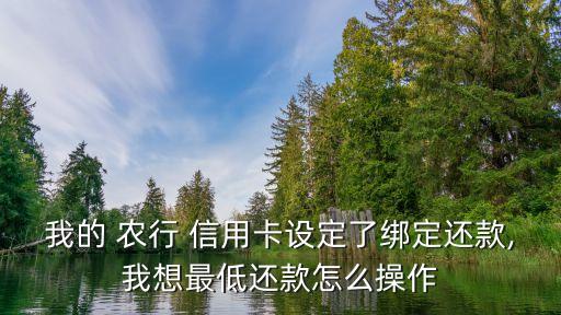 我的 農(nóng)行 信用卡設(shè)定了綁定還款,我想最低還款怎么操作