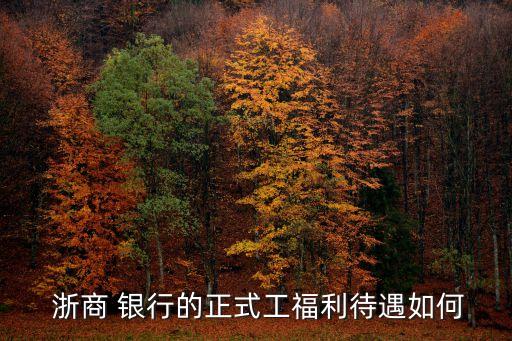浙商銀行行長(zhǎng)工資多少
