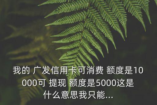 我的 廣發(fā)信用卡可消費(fèi) 額度是10000可 提現(xiàn) 額度是5000這是什么意思我只能...