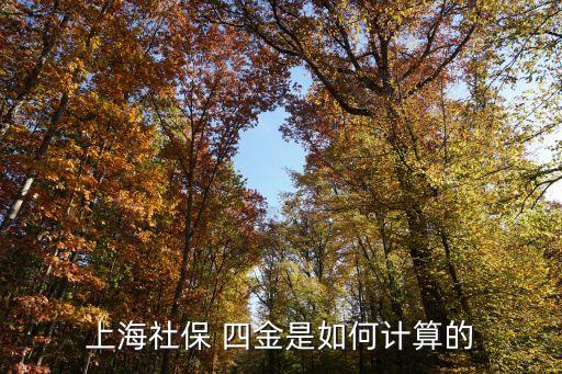 上海社保 四金是如何計算的