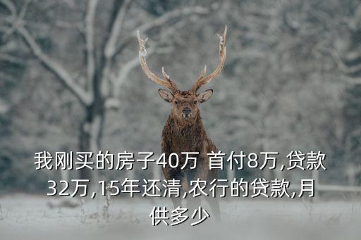我剛買的房子40萬 首付8萬,貸款32萬,15年還清,農(nóng)行的貸款,月供多少