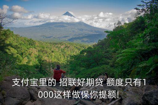 支付寶里的 招聯(lián)好期貸 額度只有1000這樣做保你提額!