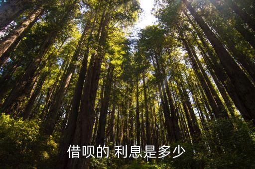 螞蟻借唄600利息多少