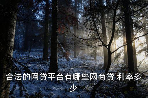 合法的網(wǎng)貸平臺有哪些網(wǎng)商貸 利率多少